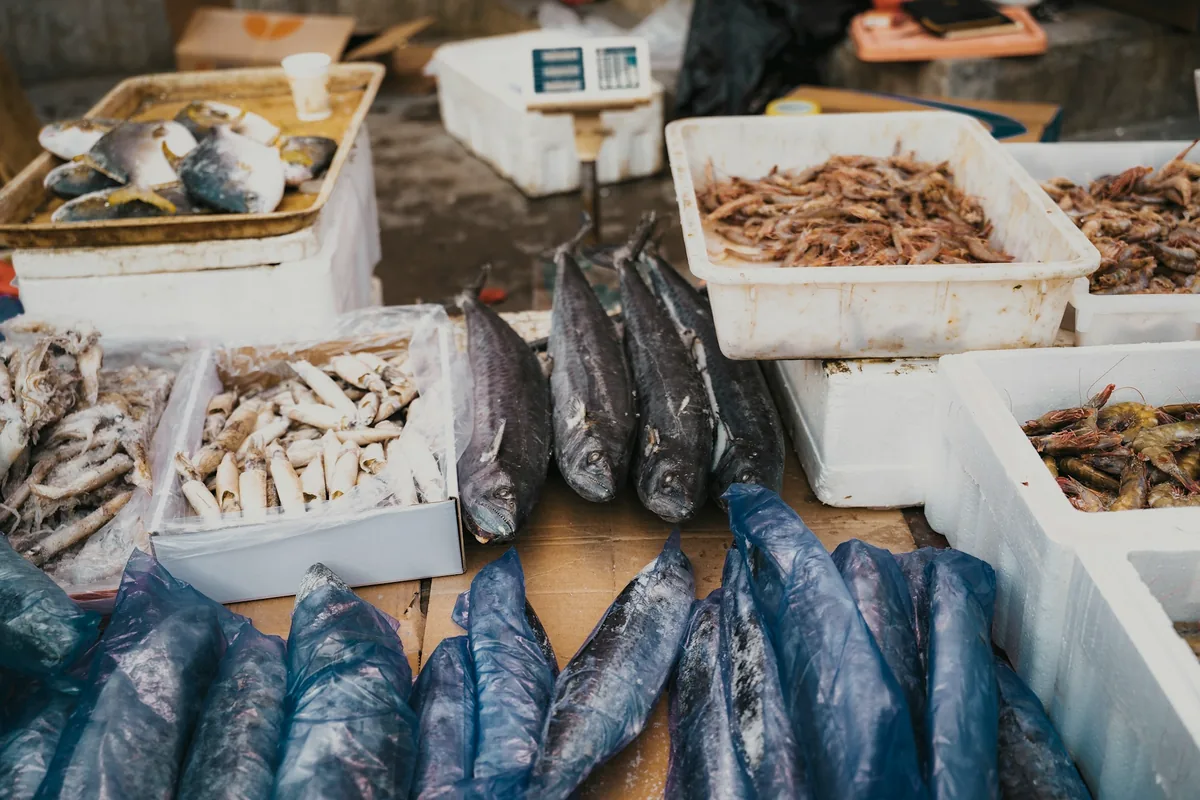 A market stall displaying squid and fish in trays