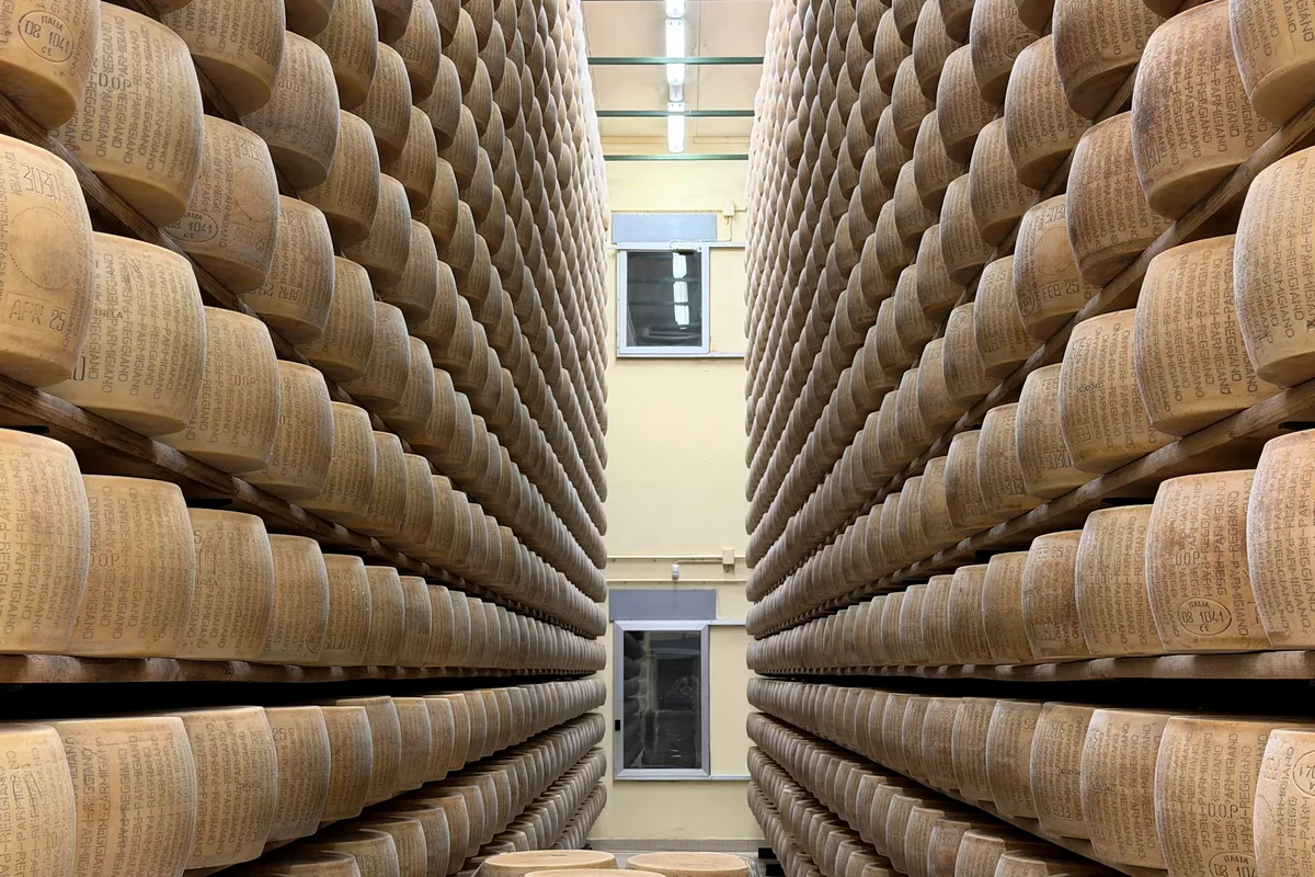 Rows of aged cheese wheels stacked on shelves