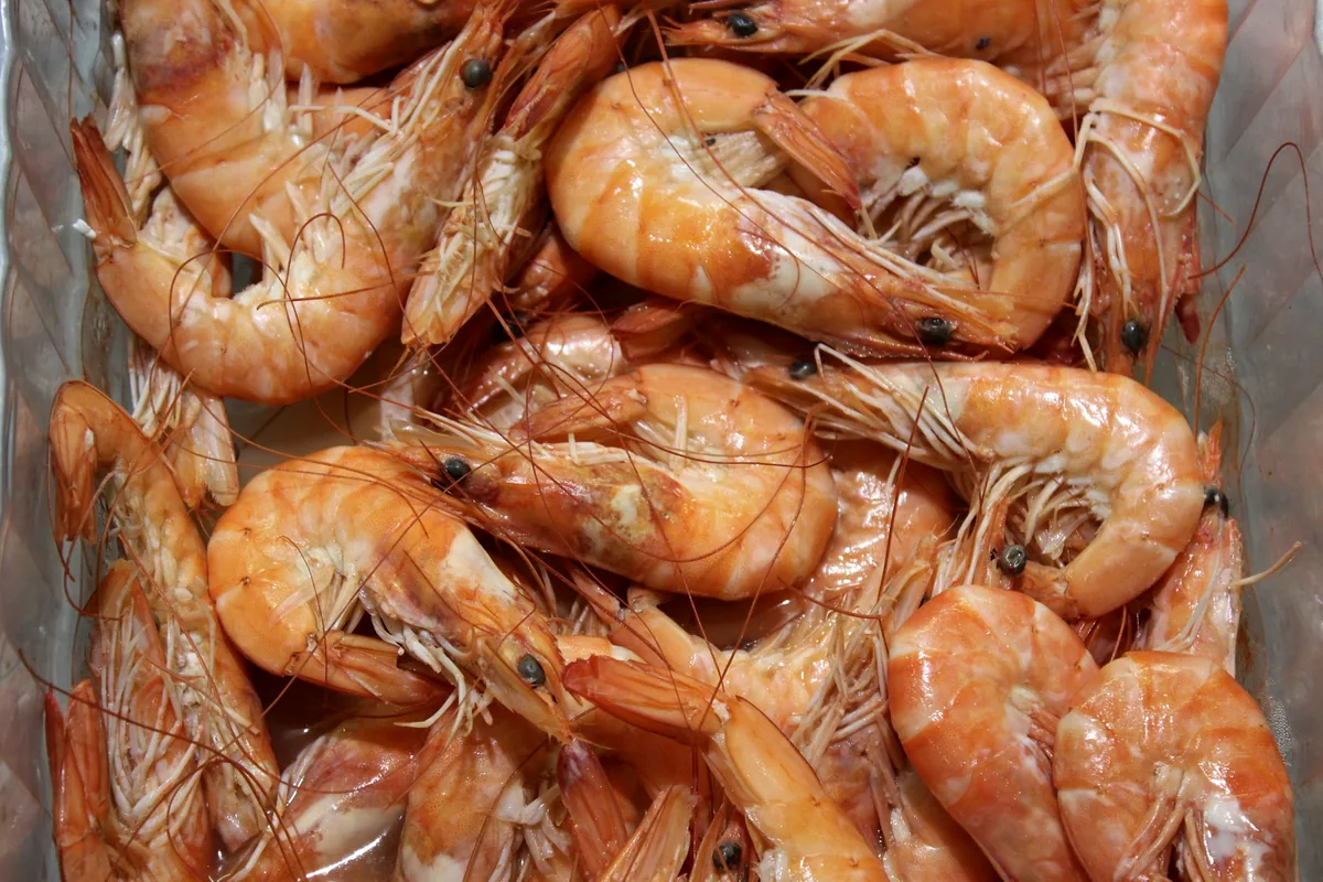 A pile of cooked pink shrimp