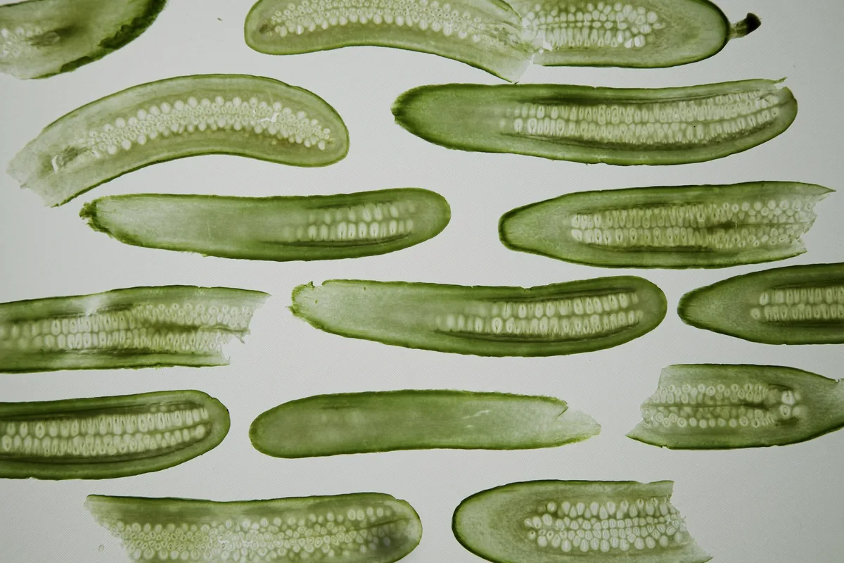 Whole cucumbers arranged in rows