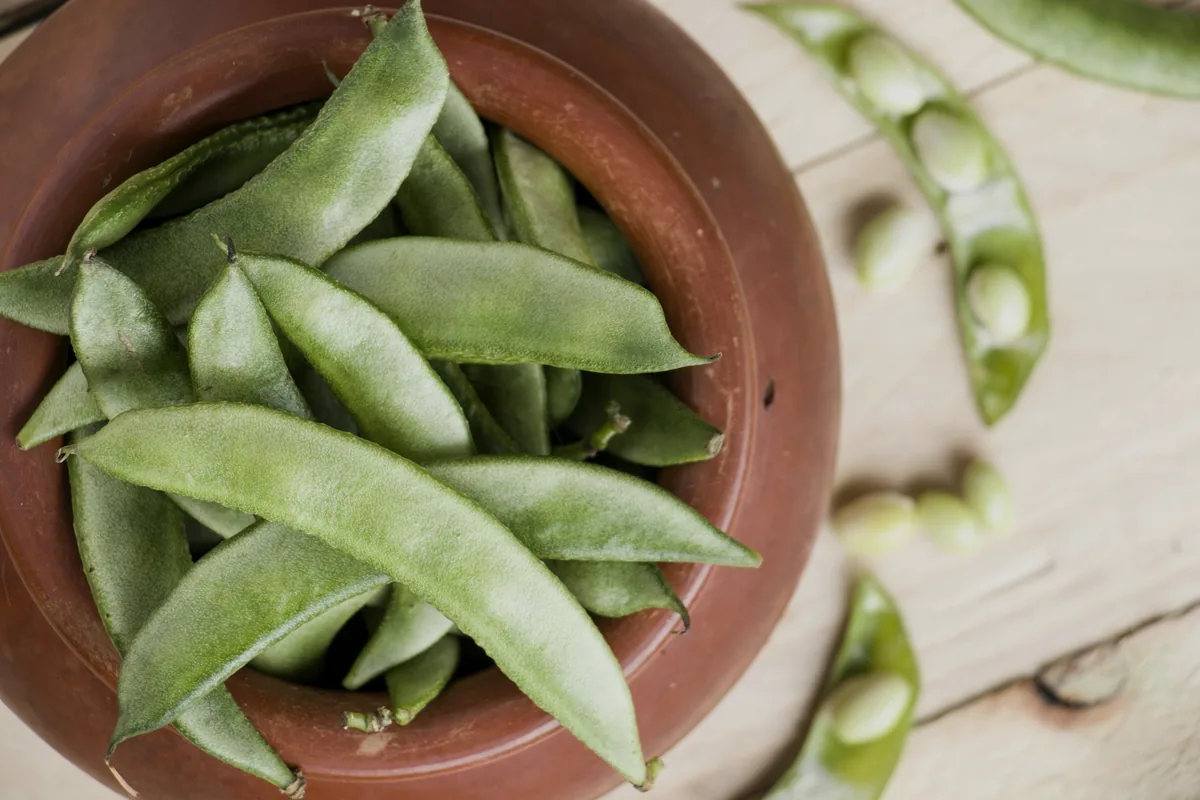 Green soybean pods in a terracotta bowl