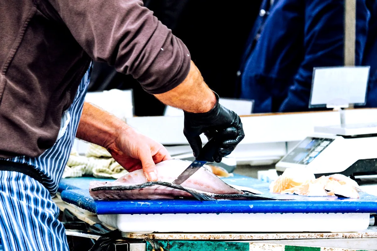 Gloved hands drawing a knife along a side of salmon