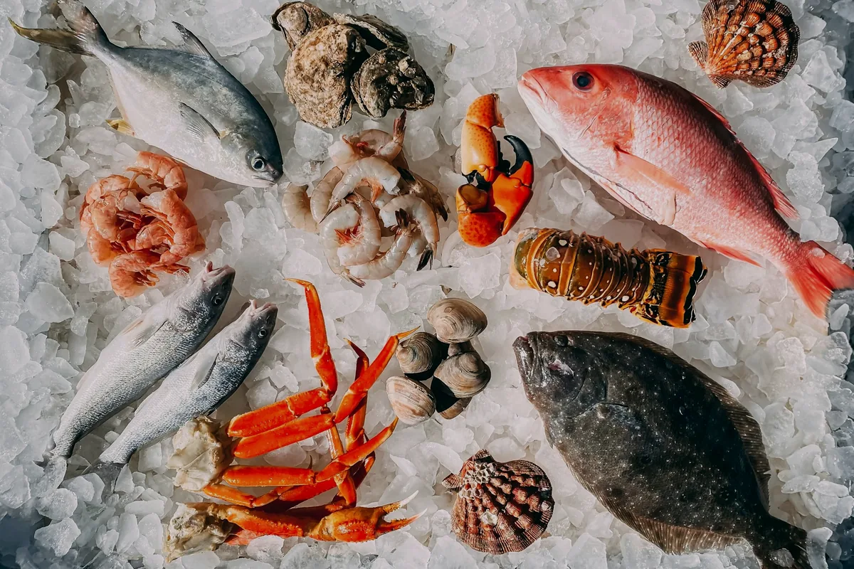 An assortment of whole fish and shellfish laid out on crushed ice at a market