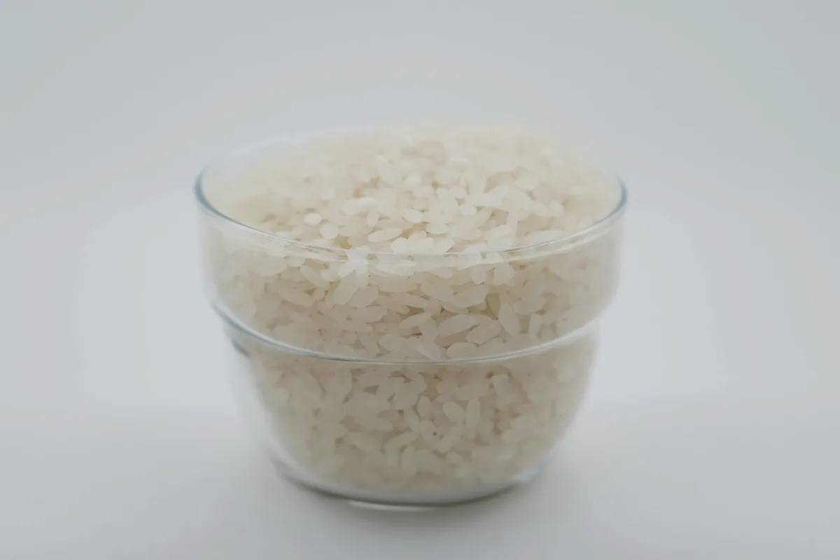 A glass bowl of plain cooked short grain rice against a white background