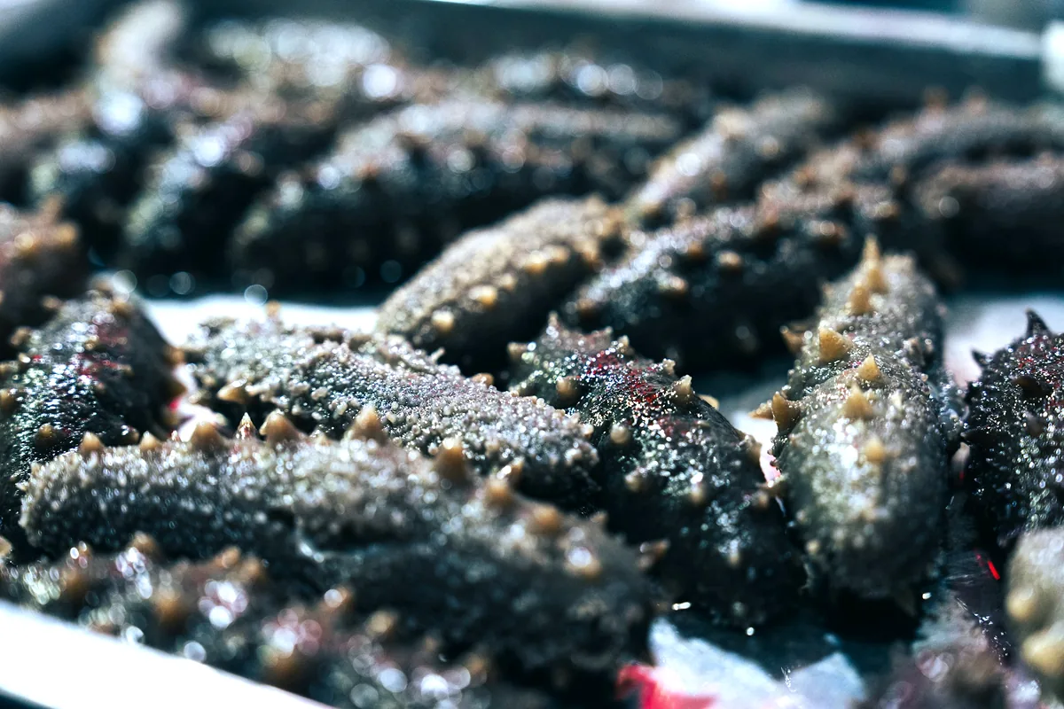 Dark seaweed growing over coastal rocks