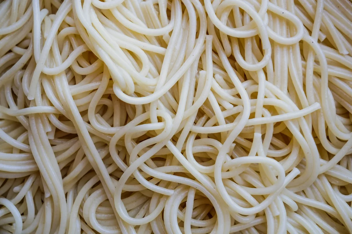 A close view of thick, pale wheat udon noodles