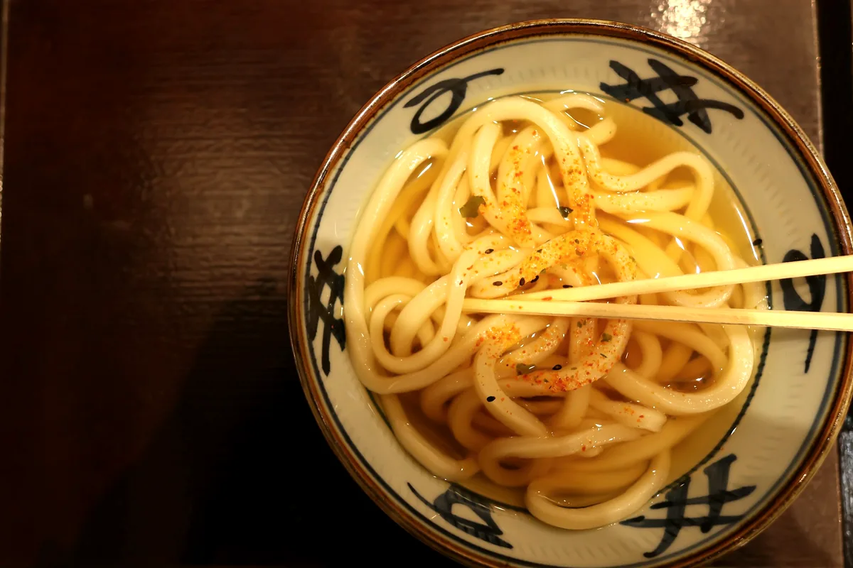 Thick white udon noodles lifted with chopsticks from a patterned bowl